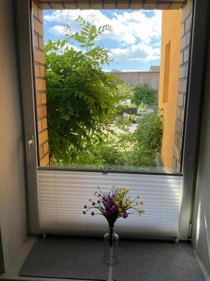 Ferienwohnung - Monteurunterkunft Loitz Exteriér fotografie